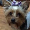 zoey949